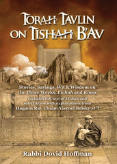 Torah Tavlin on Tisha B'av