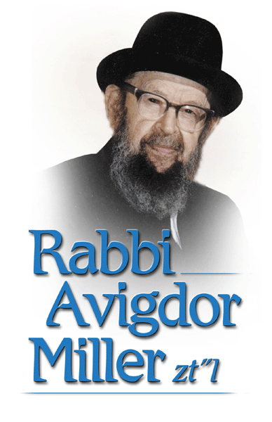 Rabbi Avigdor Miller DVDs 2