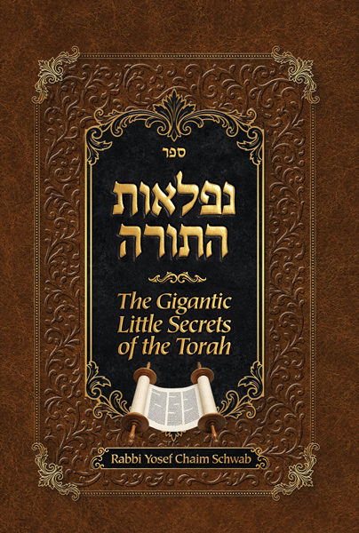 Gigantic Little Secrets of the Torah - PRE-ORDER!