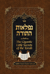 Gigantic Little Secrets of the Torah - PRE-ORDER!
