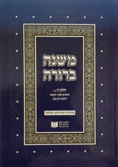 Dirshu Mishnah Berurah Daf Yomi B'Halacha Ed. vol 15 Siman 495-529