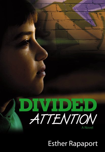 Divided Attention - Soft Cover