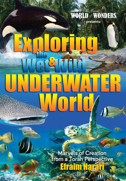 Exploring the Wet and Wild Underwater World