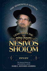 *SCRATCH AND DENT* Gems from the Nesivos Shalom: Yamim Noraim